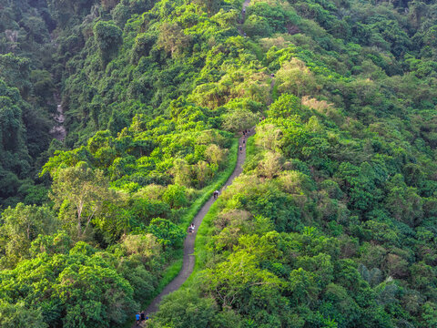 Aerial view of a narrow hiking trail winding through a lush green tropical forest with dense vegetation and trees in Kuta Selatan, Bali, Indonesia.