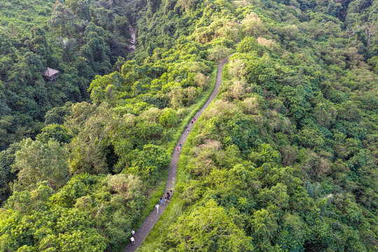 Aerial view of a narrow paved path winding through a lush green tropical forest with people walking along the trail in Kuta Selatan, Bali, Indonesia.