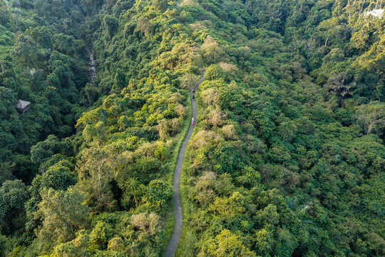 Aerial view of a narrow walking path winding through a dense tropical jungle with lush green trees and foliage in Kuta Selatan, Bali, Indonesia.
