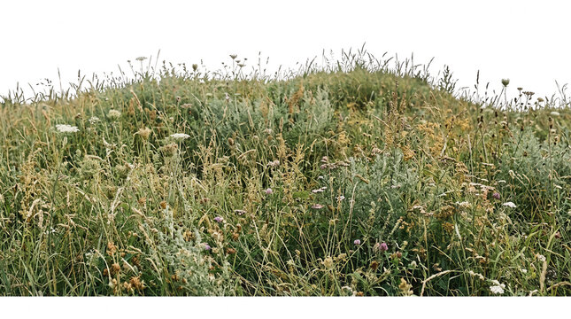 Uma colina coberta por grama verde, ervas daninhas e flores silvestres isolada em um fundo branco, ideal para composi&ccedil;&otilde;es de paisagem natural e design gr&aacute;fico.