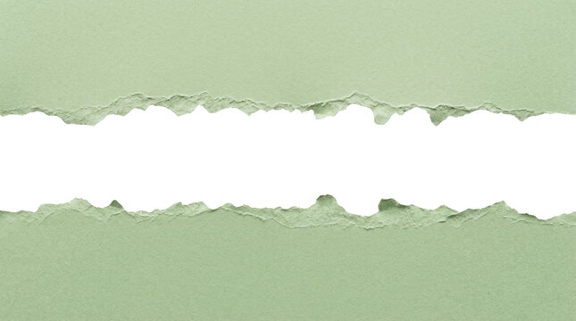 Textura de papel rasgado verde s&aacute;lvia com bordas &aacute;speras criando uma faixa horizontal branca para texto, ideal para design criativo e publicidade.