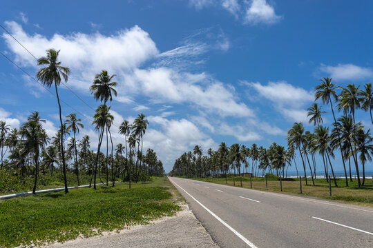 Road to Happiness: Tropical Coastal Highway in Tucacas Near Morrocoy, Venezuela
