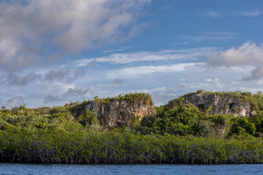 Environmental Protection and Biodiversity Conservation in Cuare Wildlife Refuge, Morrocoy, Venezuela