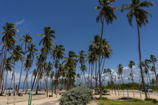 Road to Happiness: Tropical Coastal Highway in Tucacas Near Morrocoy, Venezuela