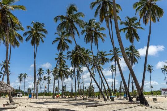 Road to Happiness: Tropical Coastal Highway in Tucacas Near Morrocoy, Venezuela