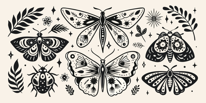 Black And White Butterflies And Insects Decorative Vector Illustration