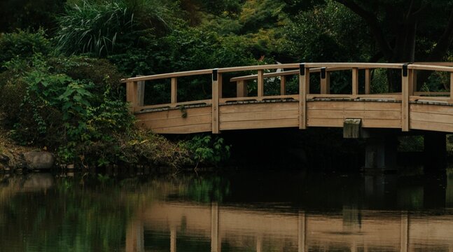 Wooden bridge in a traditional Japanese garden in Shinjuku, Tokyo