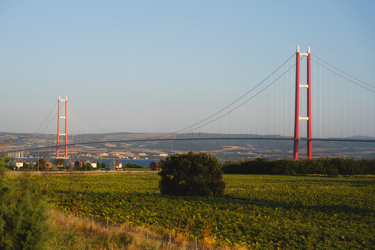 Expansive view of Osmangazi Bridge, an engineering with iconic red towers, gracefully spanning the Gulf of Izmit, complemented by vibrant green fields and distant hills under a clear