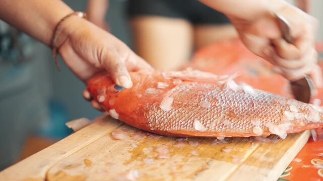 Woman's hands scaling a raw red snapper on a wooden cutting board before cooking a traditional meal