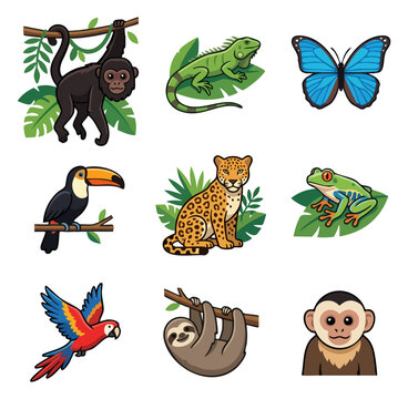 Jungle wildlife collection monkey jaguar toucan parrot butterfly frog iguana sloth