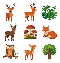 Fototapeta premium Forest wildlife and flora elements collection flat design