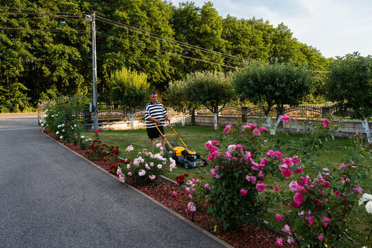 Man Maintaining Lawn in Blooming Garden