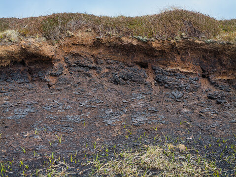 Layers of dried peat and earth exposed beneath moorland grass south of the Ward of Bressay, Shetland, UK