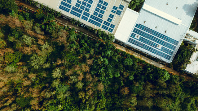 Solar panels on a factory rooftop surrounded by dense green forest