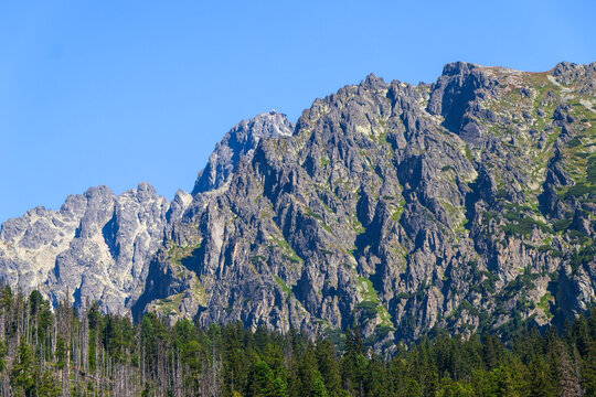 Scenes of Tatras 2026