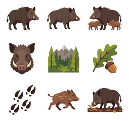 Naklejka premium Wild boar animal forest nature landscape elements vector illustration