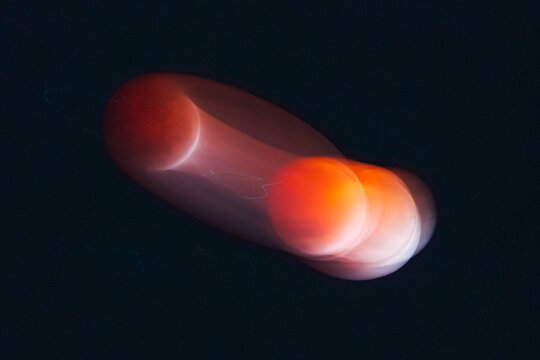 Lunar Eclipse Motion