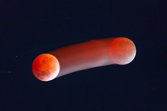 Total Lunar Eclipse Trail