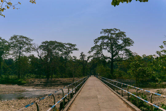Moonlit river bridge on Murti river, Dooars, West Bengal, India. Murti river is famous for its natural beauty which is often more scenic in a full moon night. Popular tourist attraction.