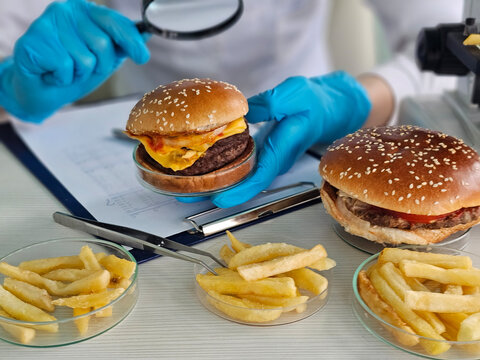 A scientist holds a delicious burger. The concept of food testing.