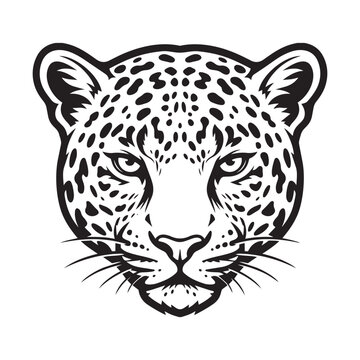 Black and white leopard head vector illustration, fierce cheetah face mascot logo design, wild jaguar spotted animal line art icon.