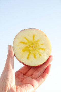 Xinjiang Apple Slice Cross Section Showing Star Pattern in Hand - Fresh Fruit from China