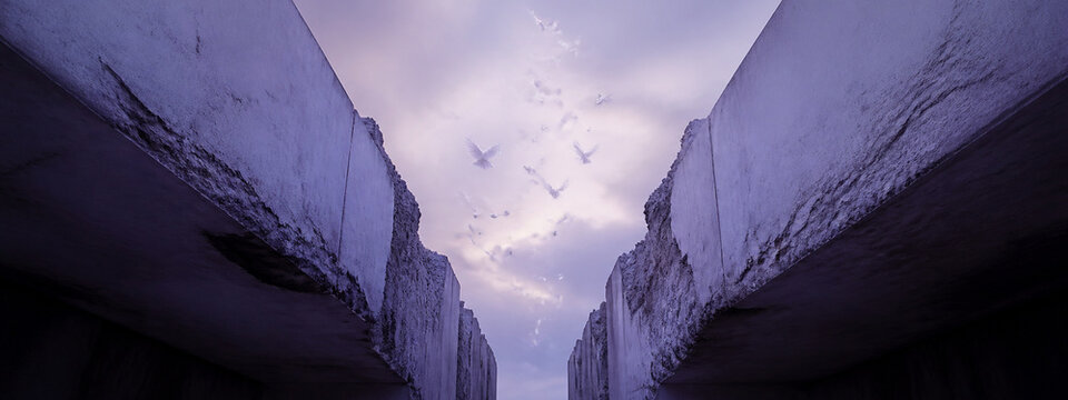 White Doves Through Shadow &mdash; A serene concept of reconciliation and shared future
