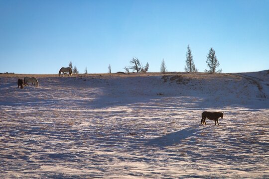 Winter in Kazakhstan