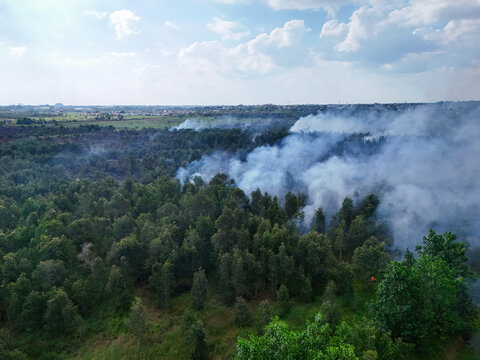 Aerial view of smoke billowing over a forest in Banjarbaru, South Kalimantan, Indonesia.