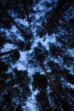 sky and clouds
