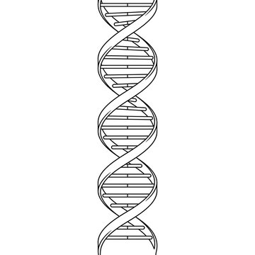 DNA Double Helix Line Art - Biological Genetic Code & Heredity Symbol