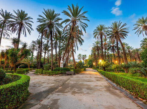 Palermo, Italy at Villa Bonnano public gardens at dawn 79