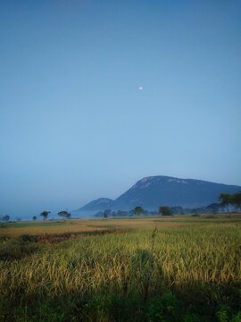 field of wheat Nature's Peace 🌾🌄"
"Silent Morning & Distant Hills 🌙"
"Chasing Horizons ⛰️✨"
"Khet, Pahad Aur Sukoon 🌾