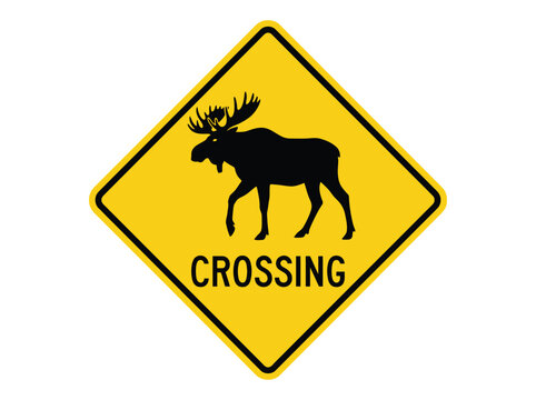 Moose crossing yellow diamond road sign vector illustration featuring bold black animal silhouette and clear typography
