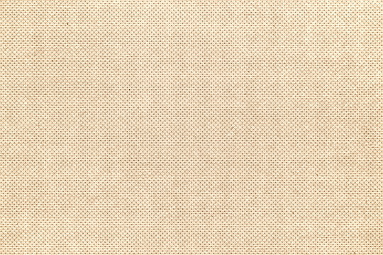  Kraft Riso B&W Halftone Texture