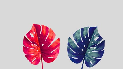 Two colorful monstera leaves for modern art display © Top_Stock