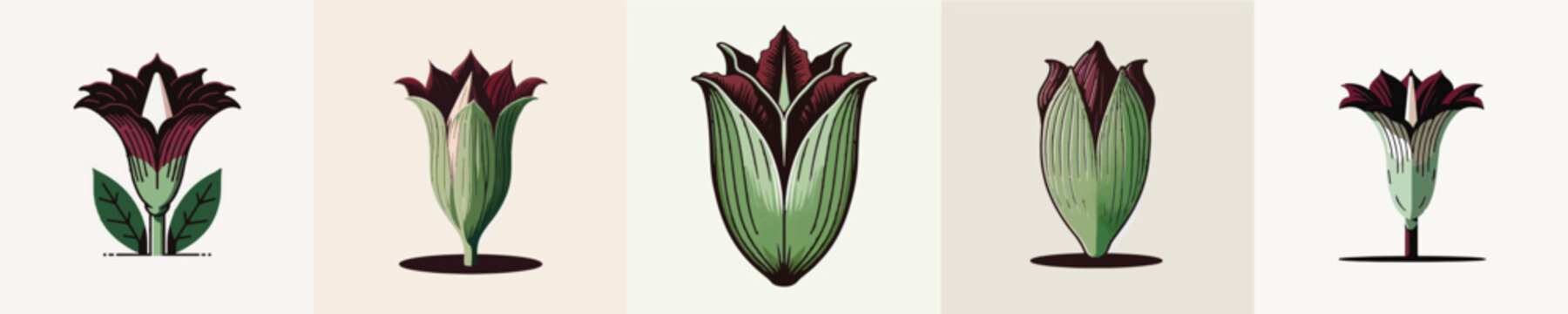 Corpse Flower Vector Illustration