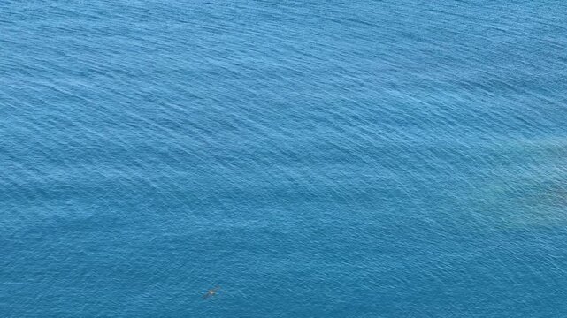 Calm sea blue flowing waters.