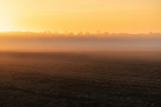 Dense morning fog rolling over agricultural field during golden sunrise with misty landscape sunrise light rural scenery foggy morning farm field