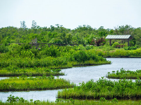 Footbridge and roofed observation deck by a coastal inlet to a tidal lagoon at Robinson Preserve, a nature preserve and research area made from reclaimed farmland, along the Gulf Coast of Florida