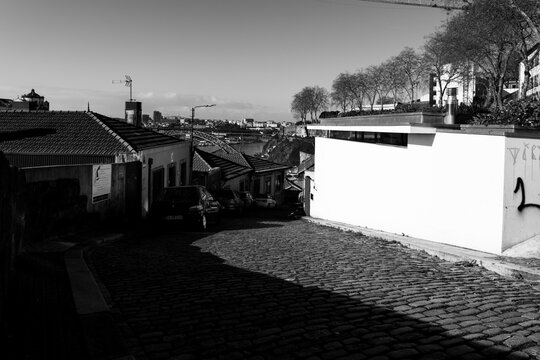 paisagens urbanas com p&aacute;ssaros