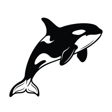 Black and white graphic illustration of a jumping killer whale or orca sea animal