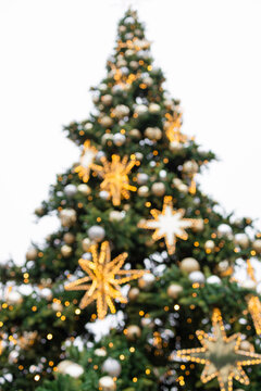 Beautiful holiday pine tree adorned with shining gold star ornaments and warm fairy lights isolated on bright background.