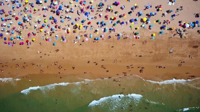 Aerial top down perspective of a crowded sandy beach during summertime, showing colorful umbrellas and many people sunbathing, relaxing, and swimming in the turquoise ocean waves