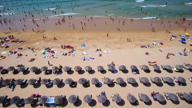 Beautiful aerial drone view of a crowded sandy beach with many people swimming in the ocean, sunbathing, and relaxing under umbrellas on a sunny day during a summer vacation