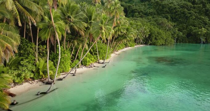 Torres Islands Tegua in Vanuatu displaying pristine tropical beach, white sand, and lush green palm trees leaning over crystal clear turquoise water with dense jungle forest. Aerial view drone flight