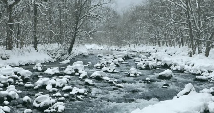 雪降りの奥入瀬