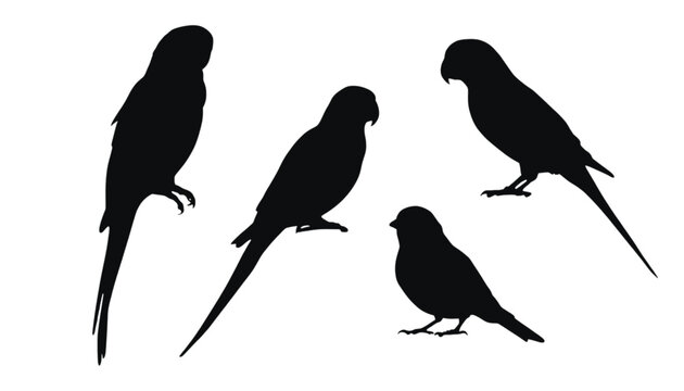 A group of five black parrot silhouettes standing on a plain white background