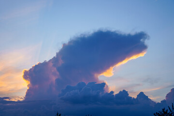 Fototapeta premium Bear shape cloud forming during golden hour sunset