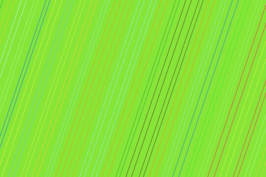Close-up of green leaf with parallel veins in nature